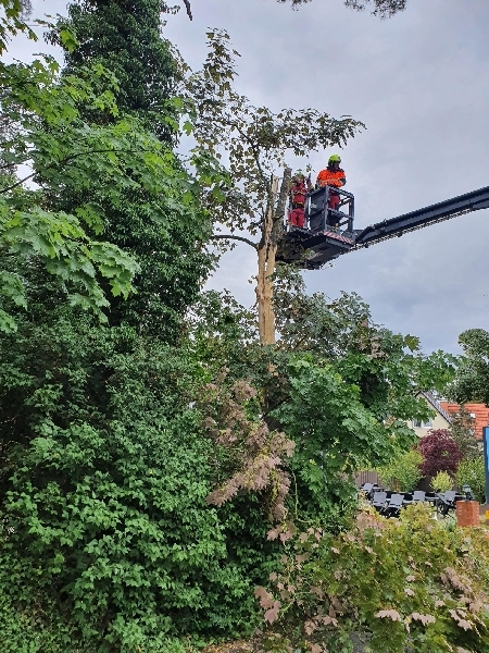 Hilfeleistung Hilfeleistung